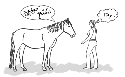 Mensch und Pferd