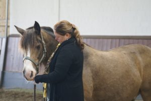 pferd-dolmetsch.at/ Pferdegestütztes Coaching