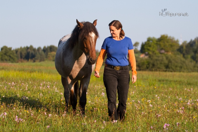 pferd-dolmetsch.at/ Natural Horsemanship